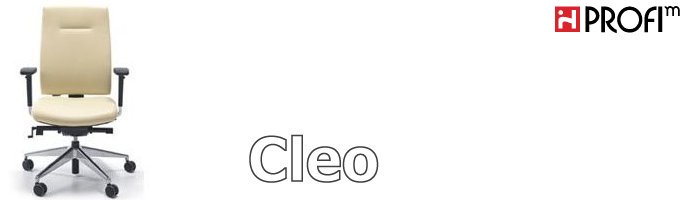 Fotele gabinetowe - Cleo
